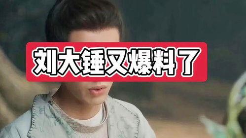 爆料娱乐圈的刘大锤小说,娱乐圈幕后真相大曝光